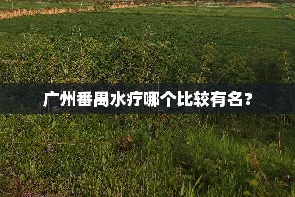 广州番禺水疗哪个比较有名？