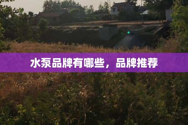 水泵品牌有哪些，品牌推荐