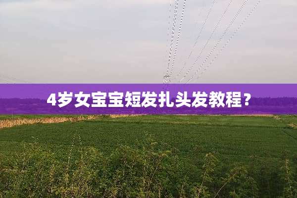 4岁女宝宝短发扎头发教程？