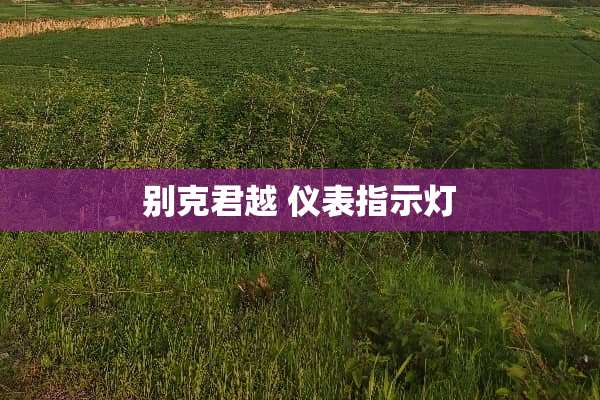 别克君越 仪表指示灯