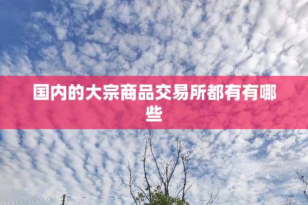 国内的大宗商品交易所都有有哪些