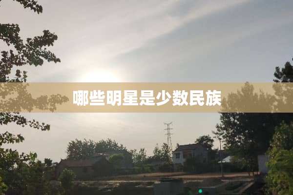 哪些明星是少数民族