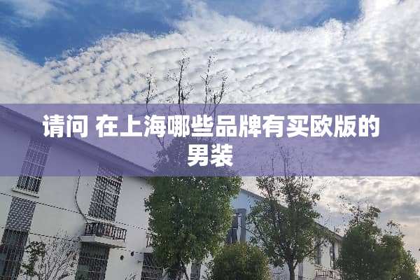 请问 在上海哪些品牌有买欧版的男装
