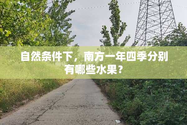 自然条件下，南方一年四季分别有哪些水果？