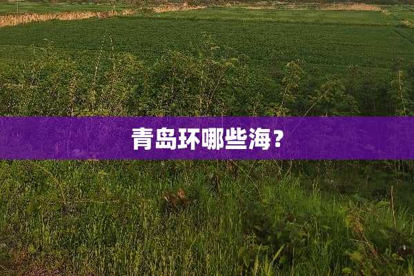 青岛环哪些海？