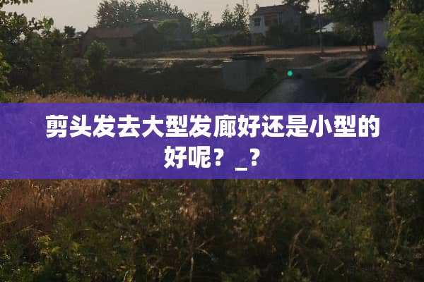 剪头发去大型发廊好还是小型的好呢？_？