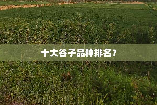 十大谷子品种排名？