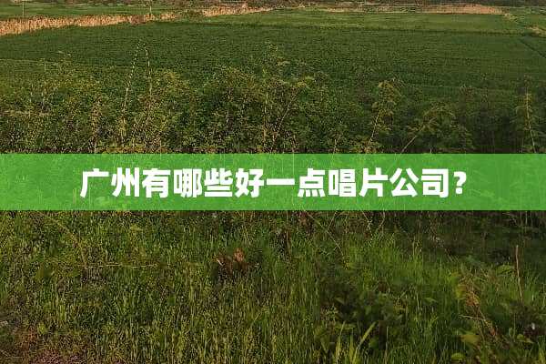 广州有哪些好一点唱片公司？