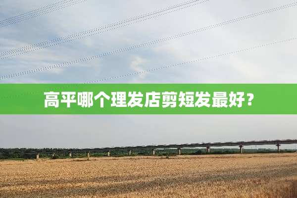 高平哪个理发店剪短发最好？