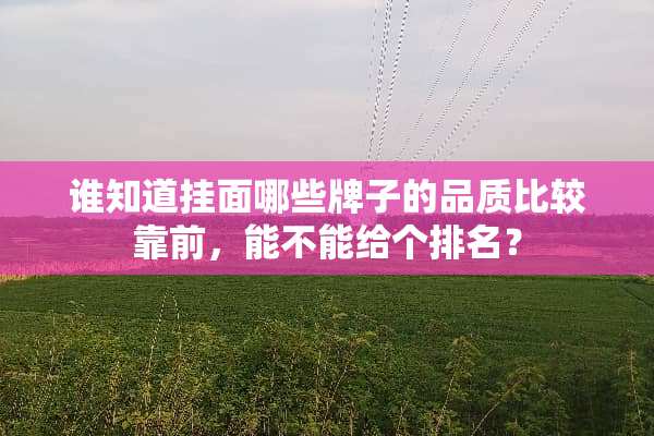 谁知道挂面哪些牌子的品质比较靠前，能不能给个排名？