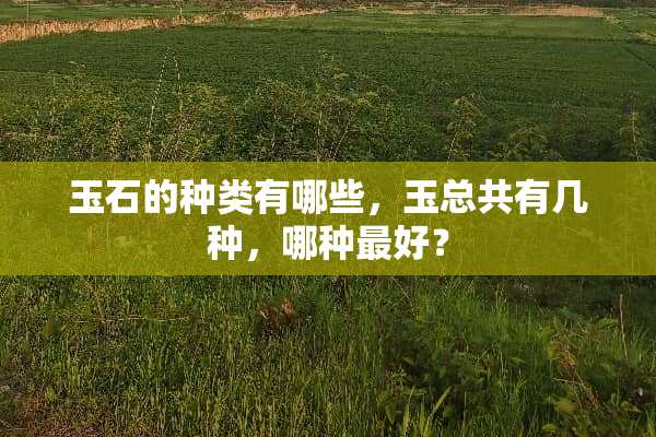 玉石的种类有哪些，玉总共有几种，哪种最好？
