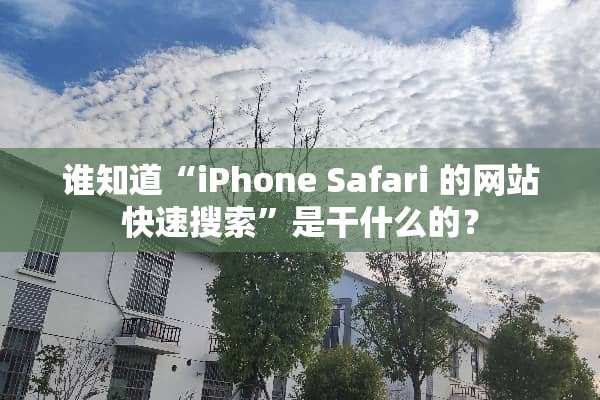 谁知道“iPhone Safari 的网站快速搜索”是干什么的？