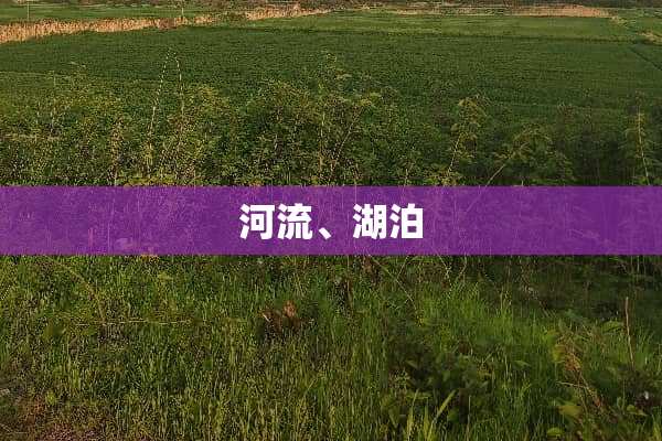 河流、湖泊