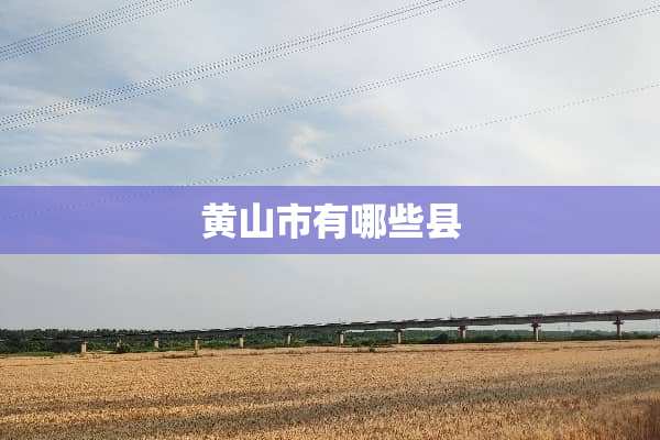黄山市有哪些县