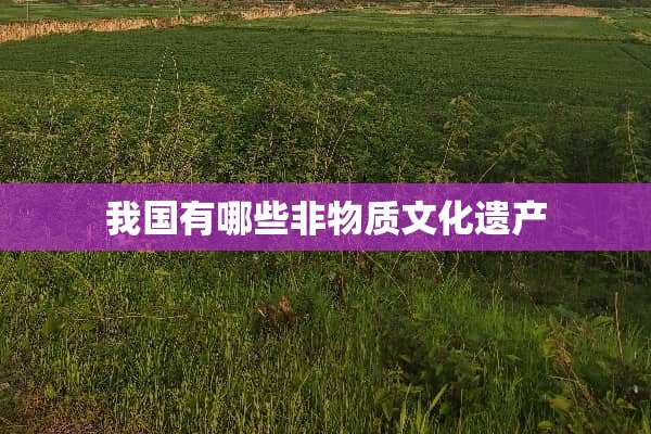 我国有哪些非物质文化遗产