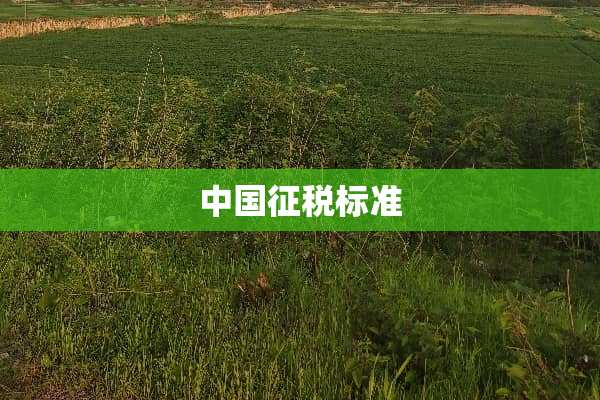 中国征税标准
