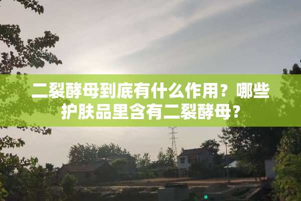 二裂酵母到底有什么作用？哪些护肤品里含有二裂酵母？