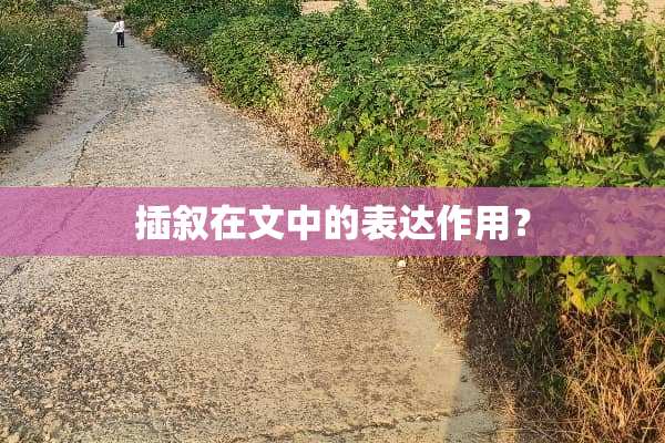 插叙在文中的表达作用？