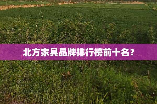 北方家具品牌排行榜前十名？