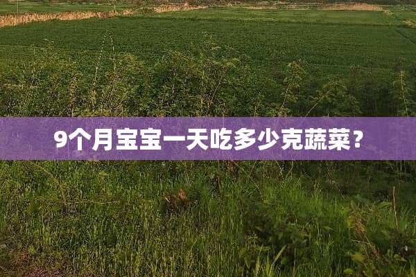 9个月宝宝一天吃多少克蔬菜？