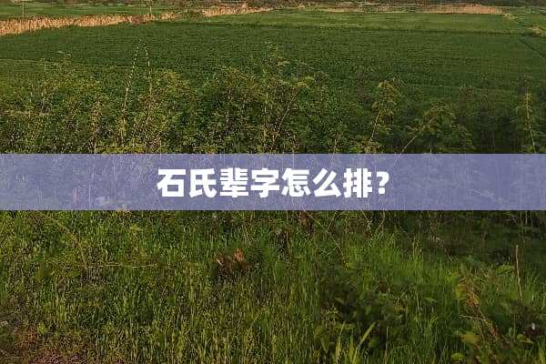 石氏辈字怎么排？