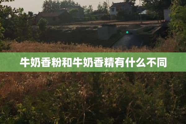 牛奶香粉和牛奶香精有什么不同