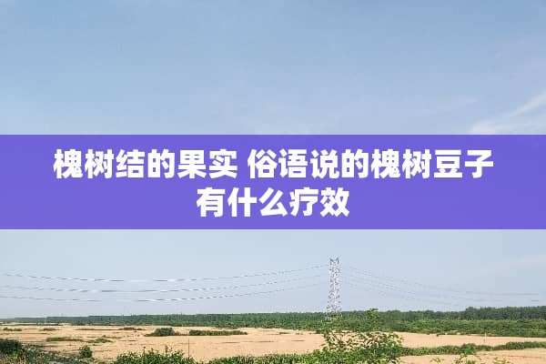 槐树结的果实 俗语说的槐树豆子有什么疗效