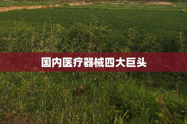 国内医疗器械四大巨头