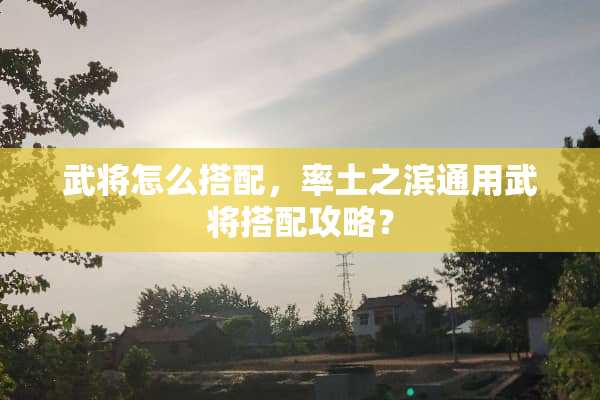 武将怎么搭配，率土之滨通用武将搭配攻略？
