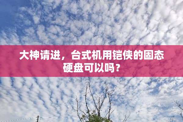 大神请进，台式机用铠侠的固态硬盘可以吗？
