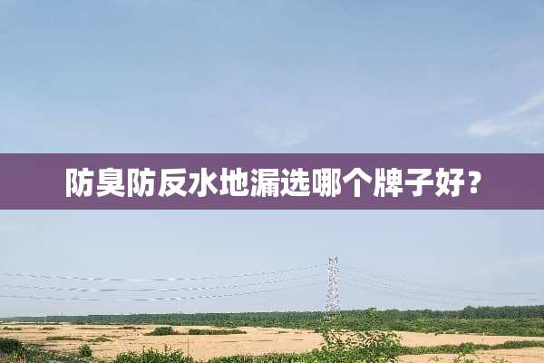 防臭防反水地漏选哪个牌子好？