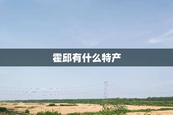 霍邱有什么特产
