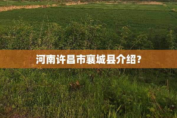 河南许昌市襄城县介绍？
