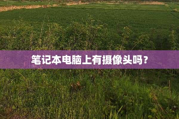 笔记本电脑上有**头吗？