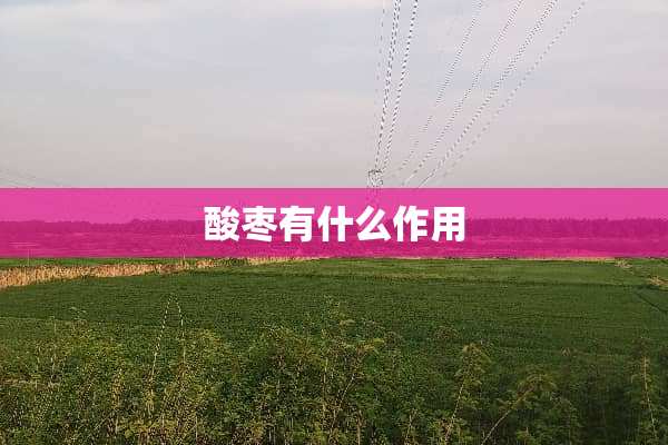 酸枣有什么作用