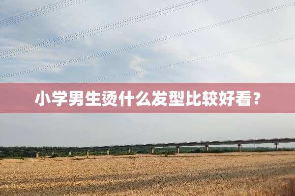 小学男生烫什么发型比较好看？