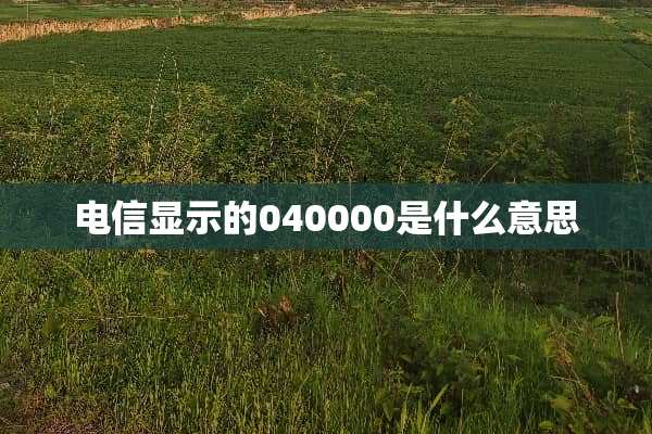 电信显示的040000是什么意思