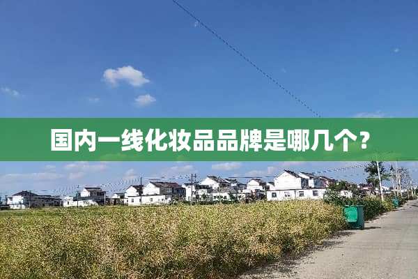 国内一线化妆品品牌是哪几个？