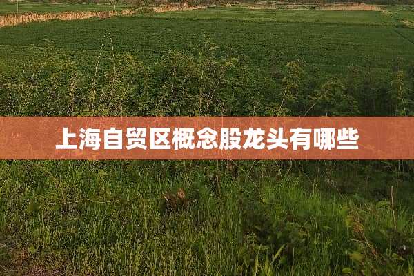 上海自贸区概念股龙头有哪些