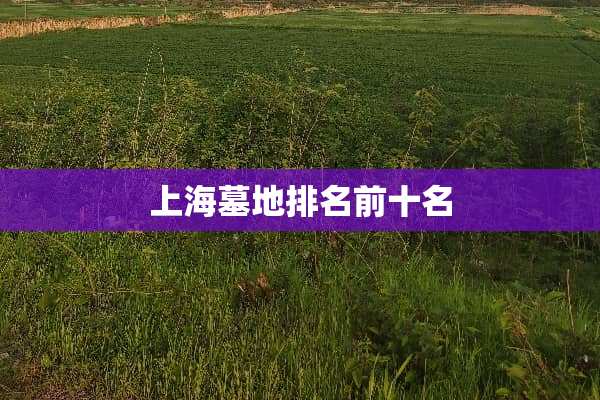 上海墓地排名前十名