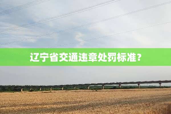 辽宁省交通违章处罚标准？