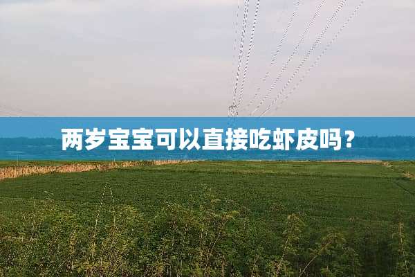 两岁宝宝可以直接吃虾皮吗？