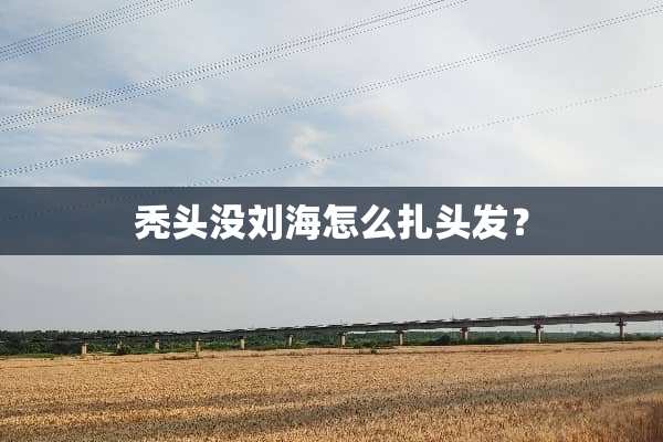 秃头没刘海怎么扎头发？