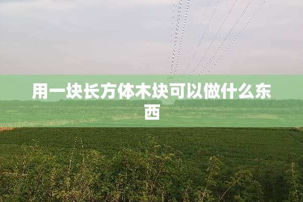 用一块长方体木块可以做什么东西