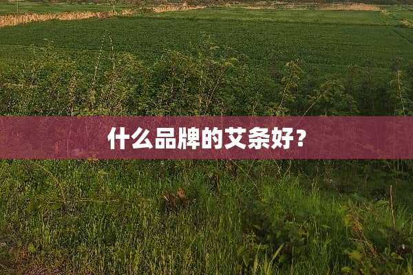 什么品牌的艾条好？