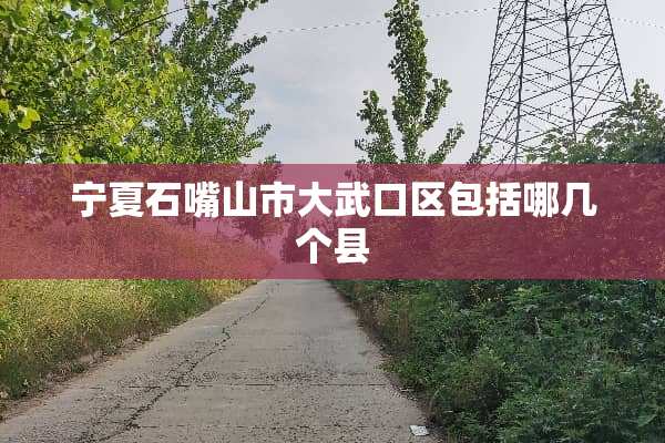 宁夏石嘴山市大武口区包括哪几个县
