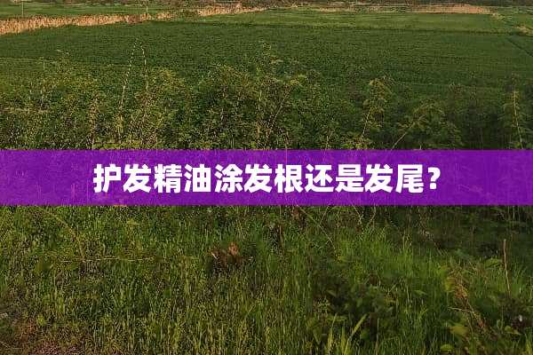 护发精油涂发根还是发尾？