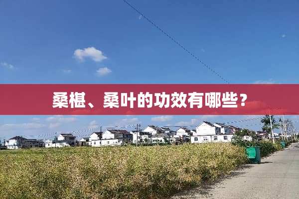桑椹、桑叶的功效有哪些？
