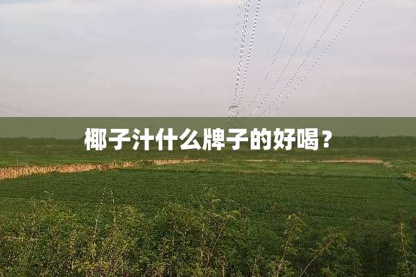 椰子汁什么牌子的好喝？