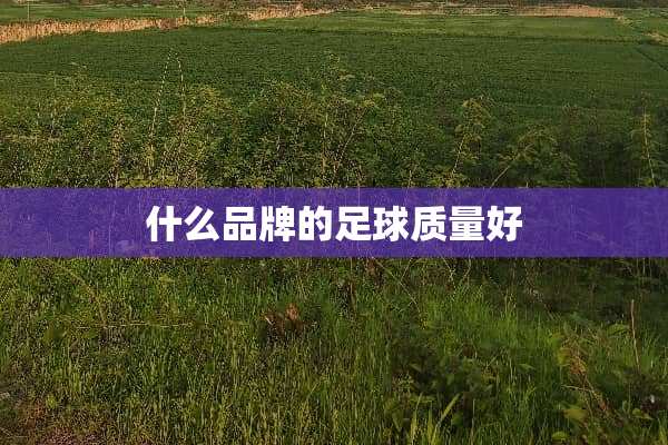 什么品牌的**质量好